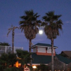 Meet your Posher, Sherry